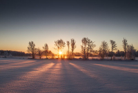 Vinter (113)