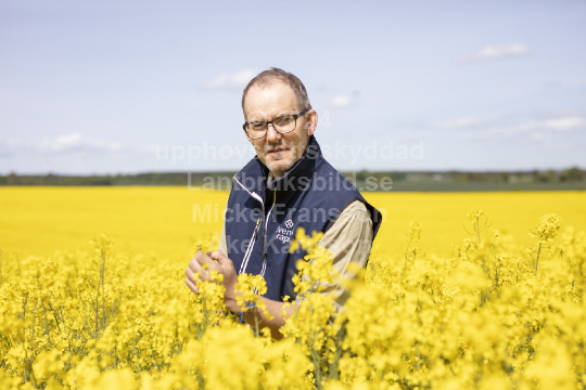 Albin Gunnarson 2023